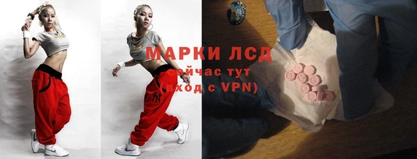 ПСИЛОЦИБИНОВЫЕ ГРИБЫ Инсар