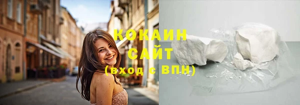 ПСИЛОЦИБИНОВЫЕ ГРИБЫ Инсар
