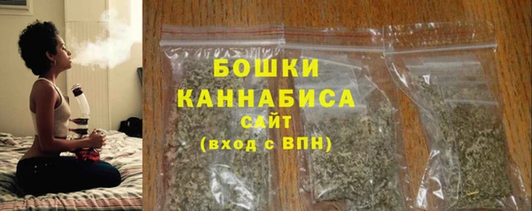 ПСИЛОЦИБИНОВЫЕ ГРИБЫ Инсар